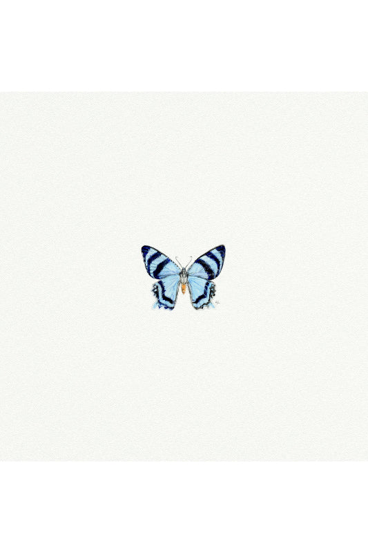 tiny watercolor print - blue butterfly