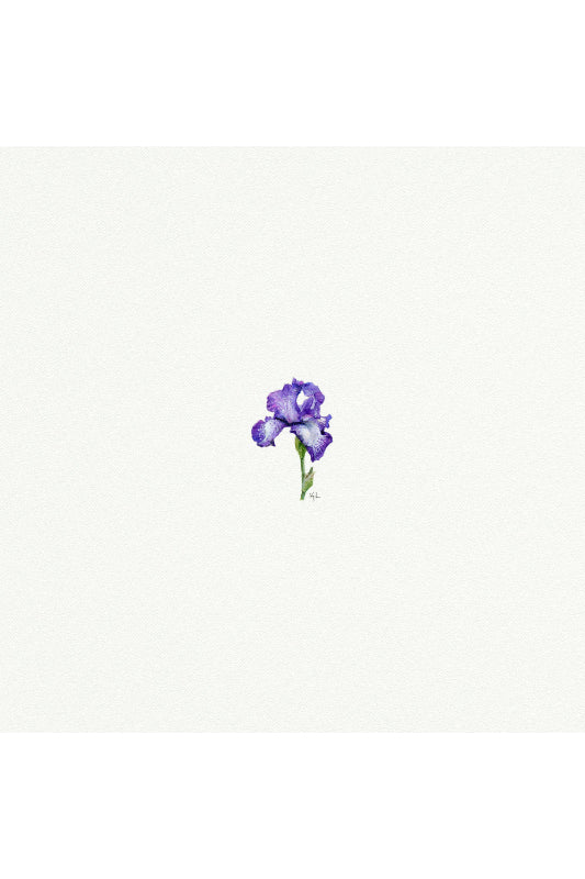 tiny watercolor print - iris