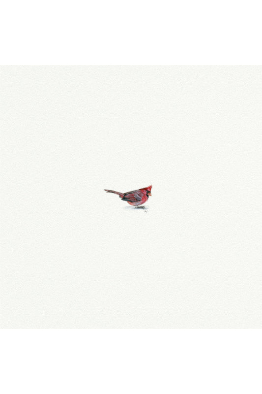 tiny watercolor print - cardinal