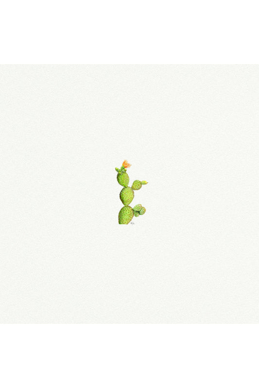 tiny watercolor print - prickly pear