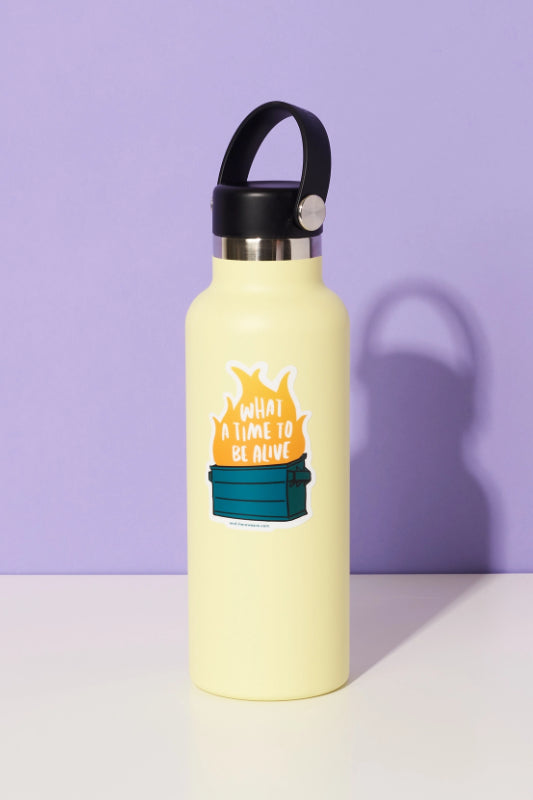 dumpster fire sticker