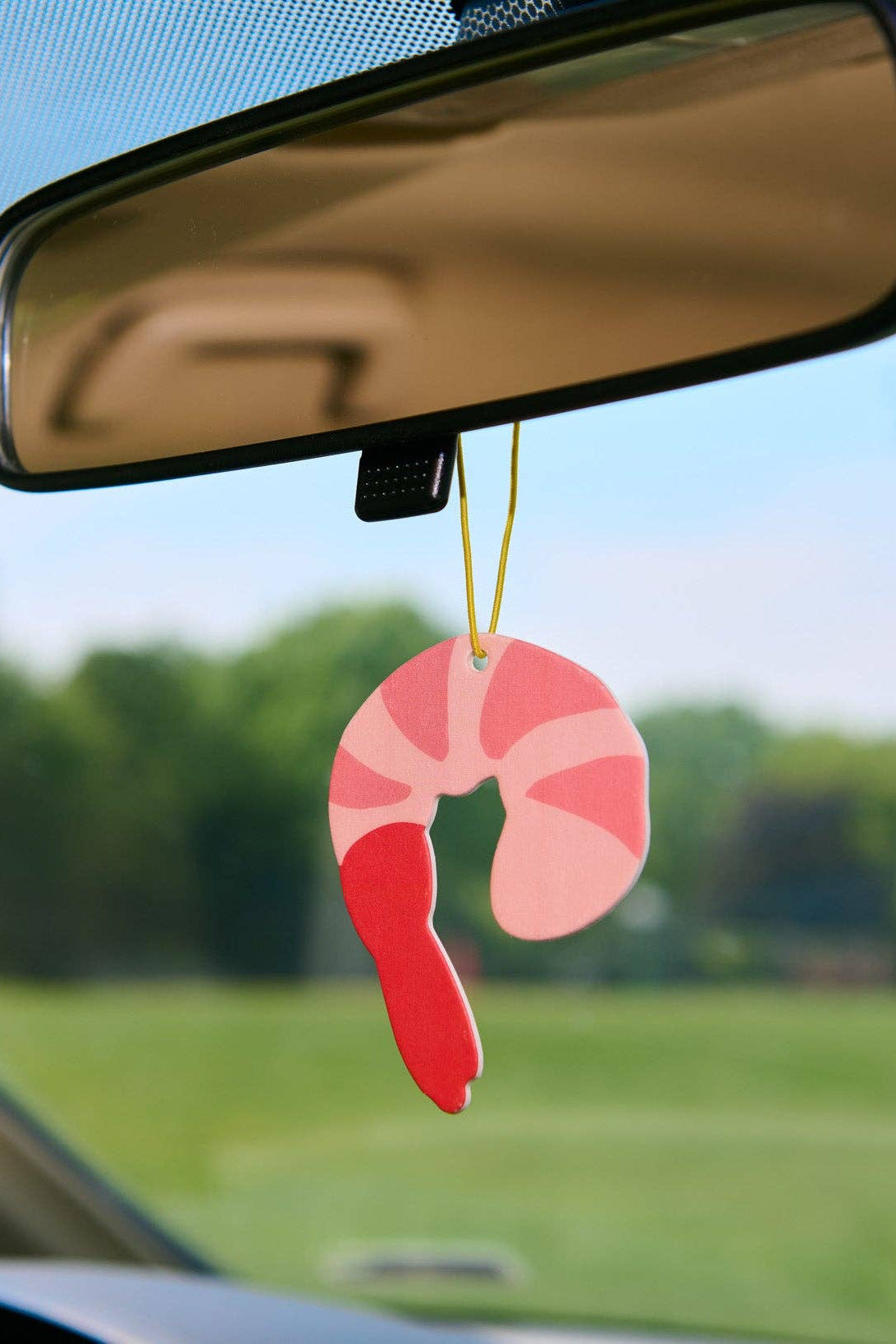 shrimp air freshener