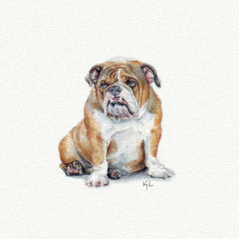bulldog watercolor painting - tiny art print
