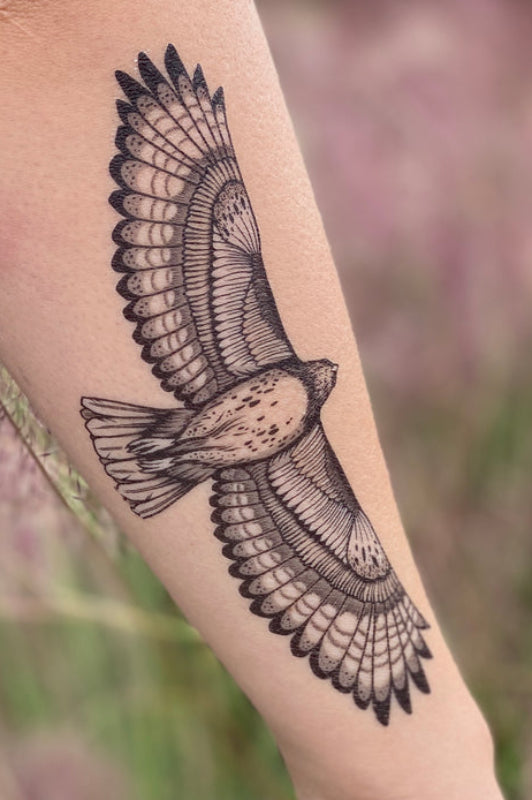 hawk temporary tattoo