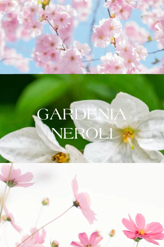 gardenia neroli classic soy candle