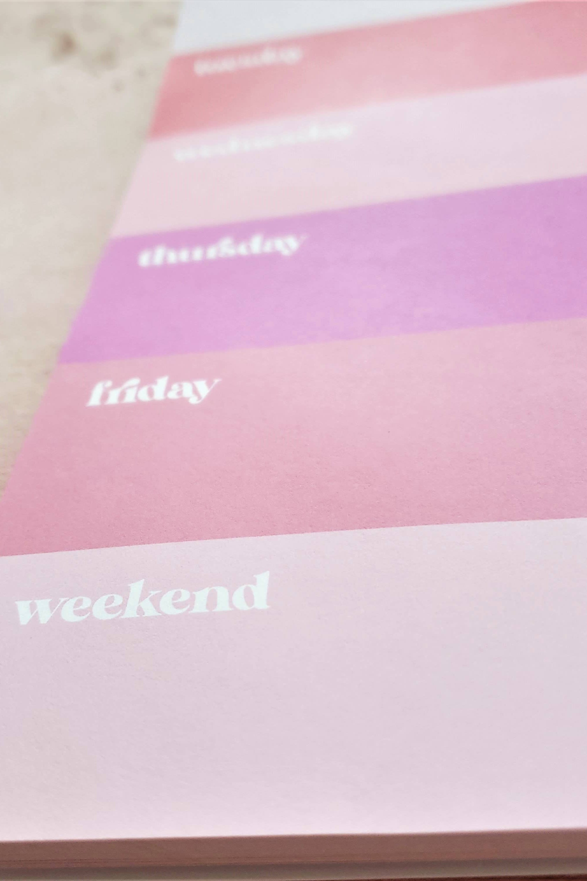 colorblock undated weekly planner notepad