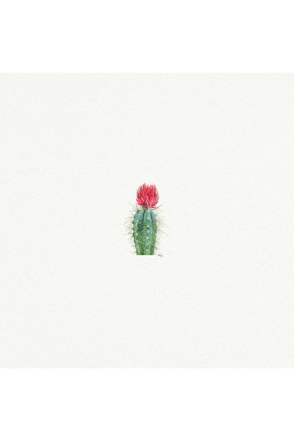 tiny watercolor print - cactus bloom