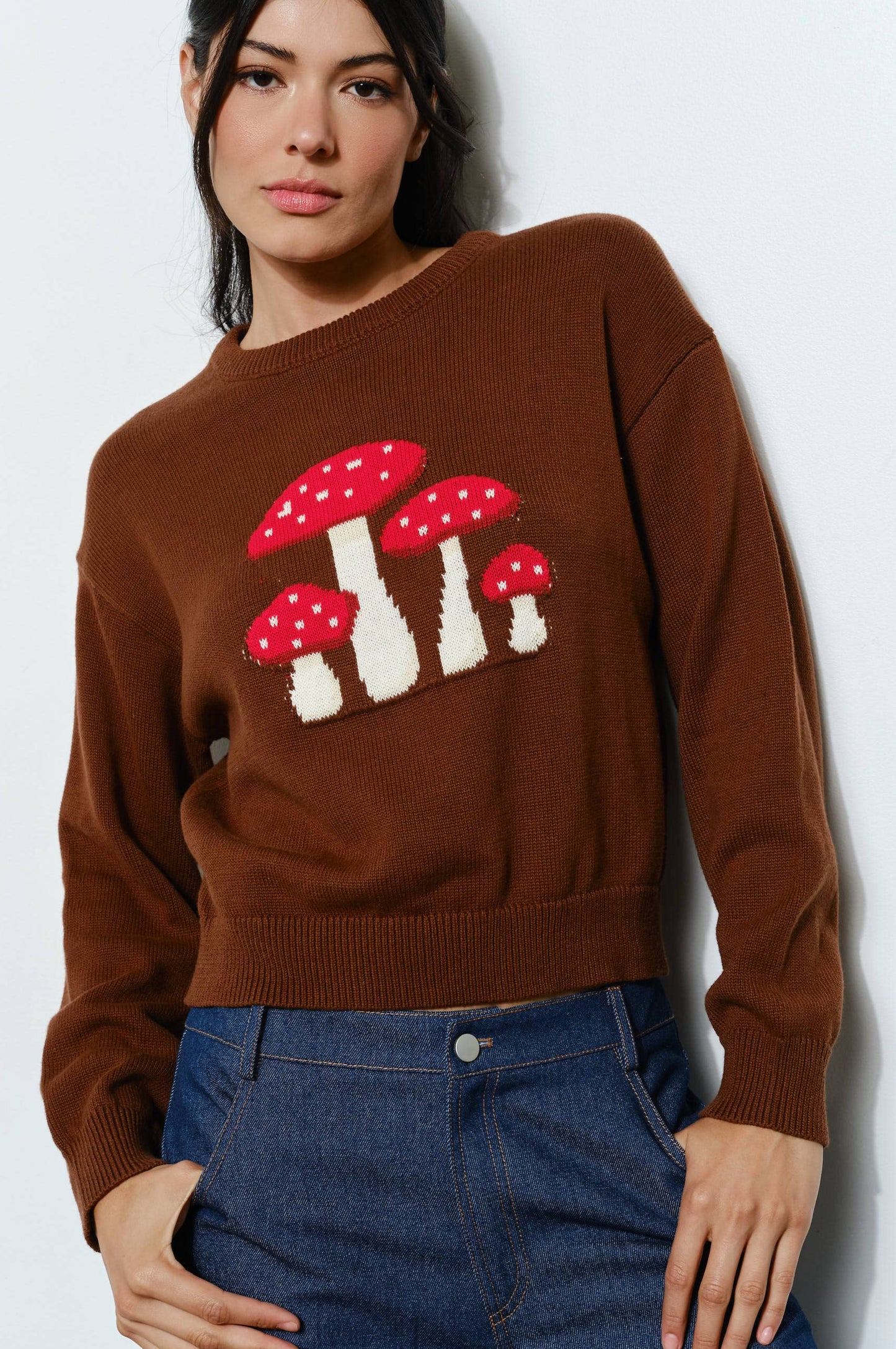 mushroom sweater - brown