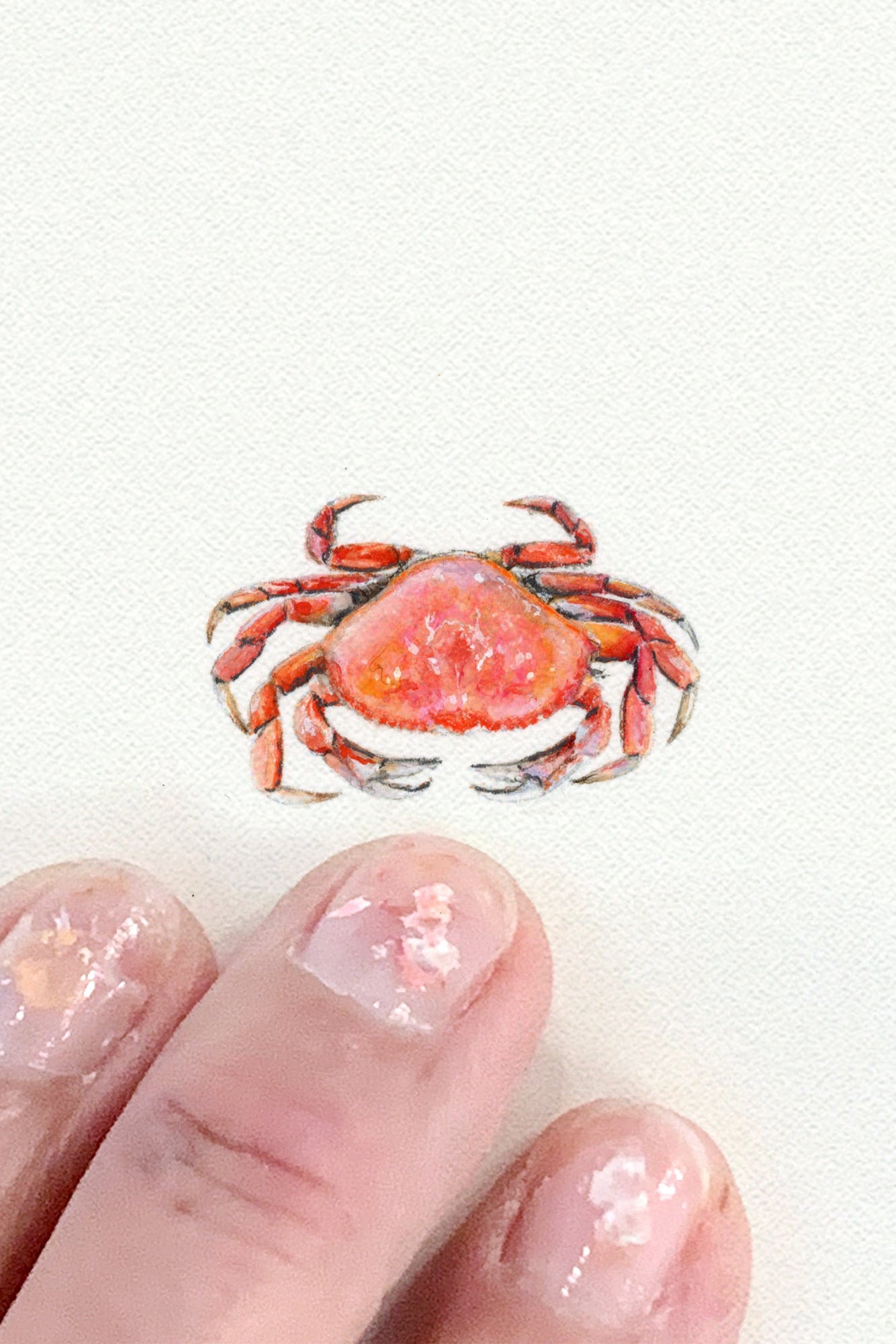 tiny watercolor print - crab