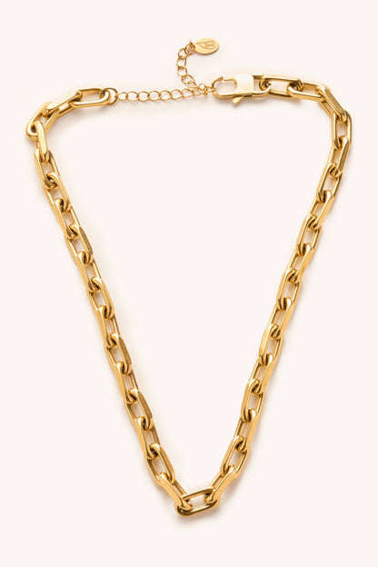 dani chunky link choker