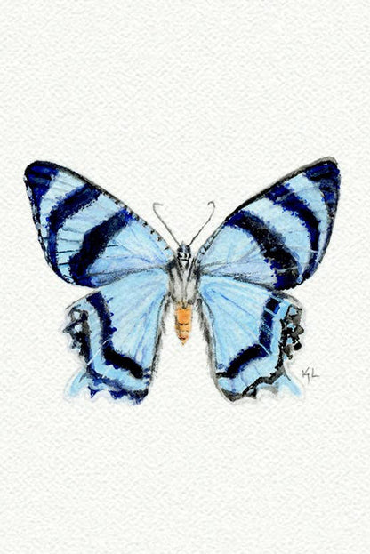 tiny watercolor print - blue butterfly