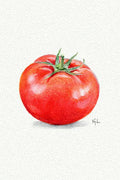 A watercolor painting of a single red tomato with a green stem, centered on a textured off-white background with a small artist signature.