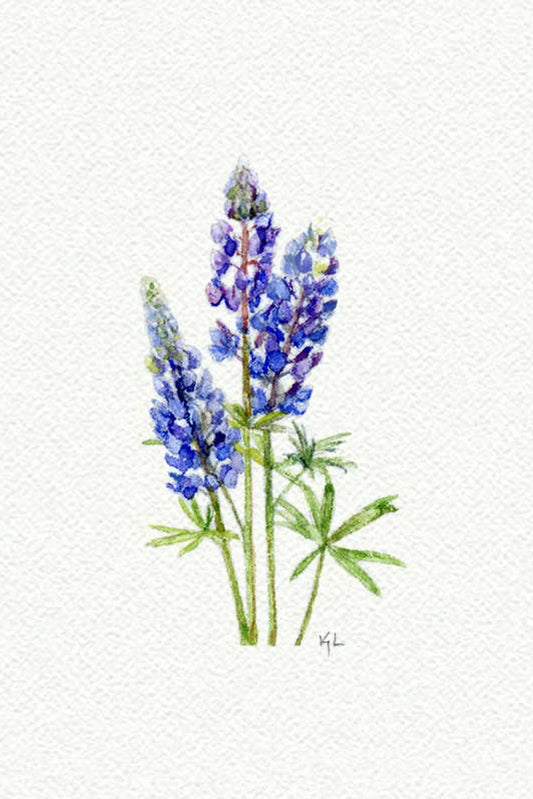 tiny watercolor print - bluebonnet