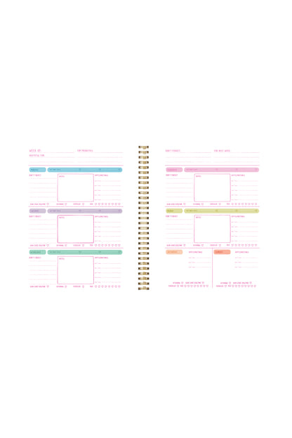 goal getter lite planner - don't ruin my vibe