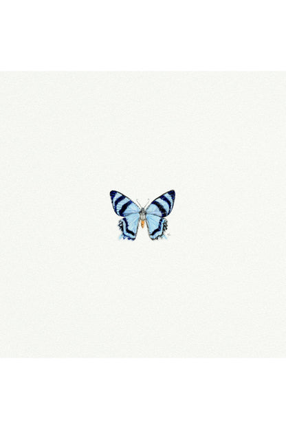tiny watercolor print - blue butterfly
