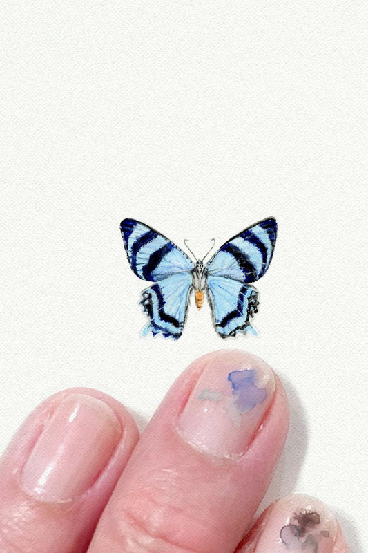 tiny watercolor print - blue butterfly