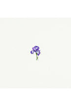 tiny watercolor print - iris