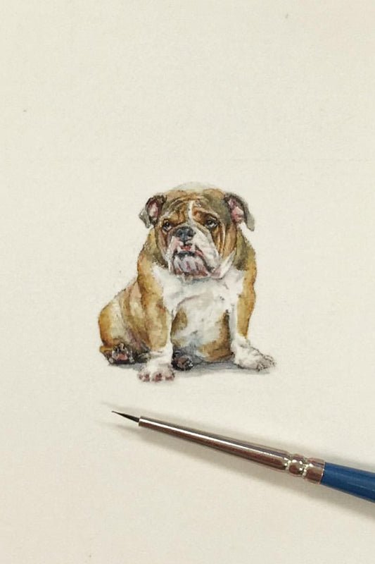 tiny watercolor print - bulldog