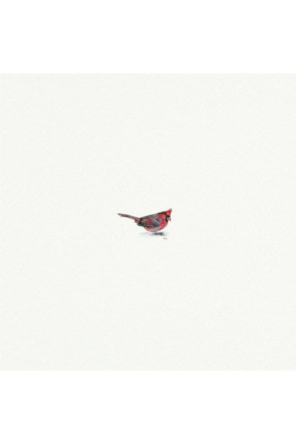 tiny watercolor print - cardinal