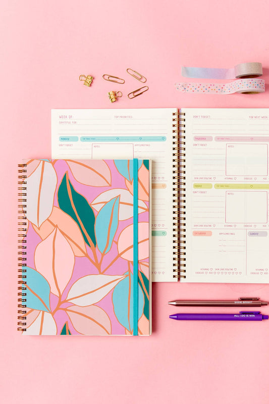 goal getter lite planner - radiance