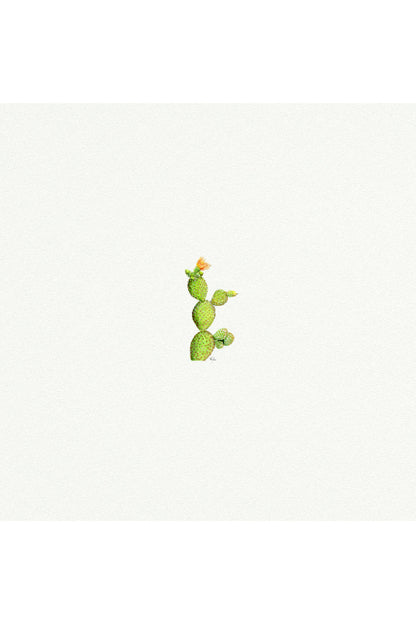 tiny watercolor print - prickly pear