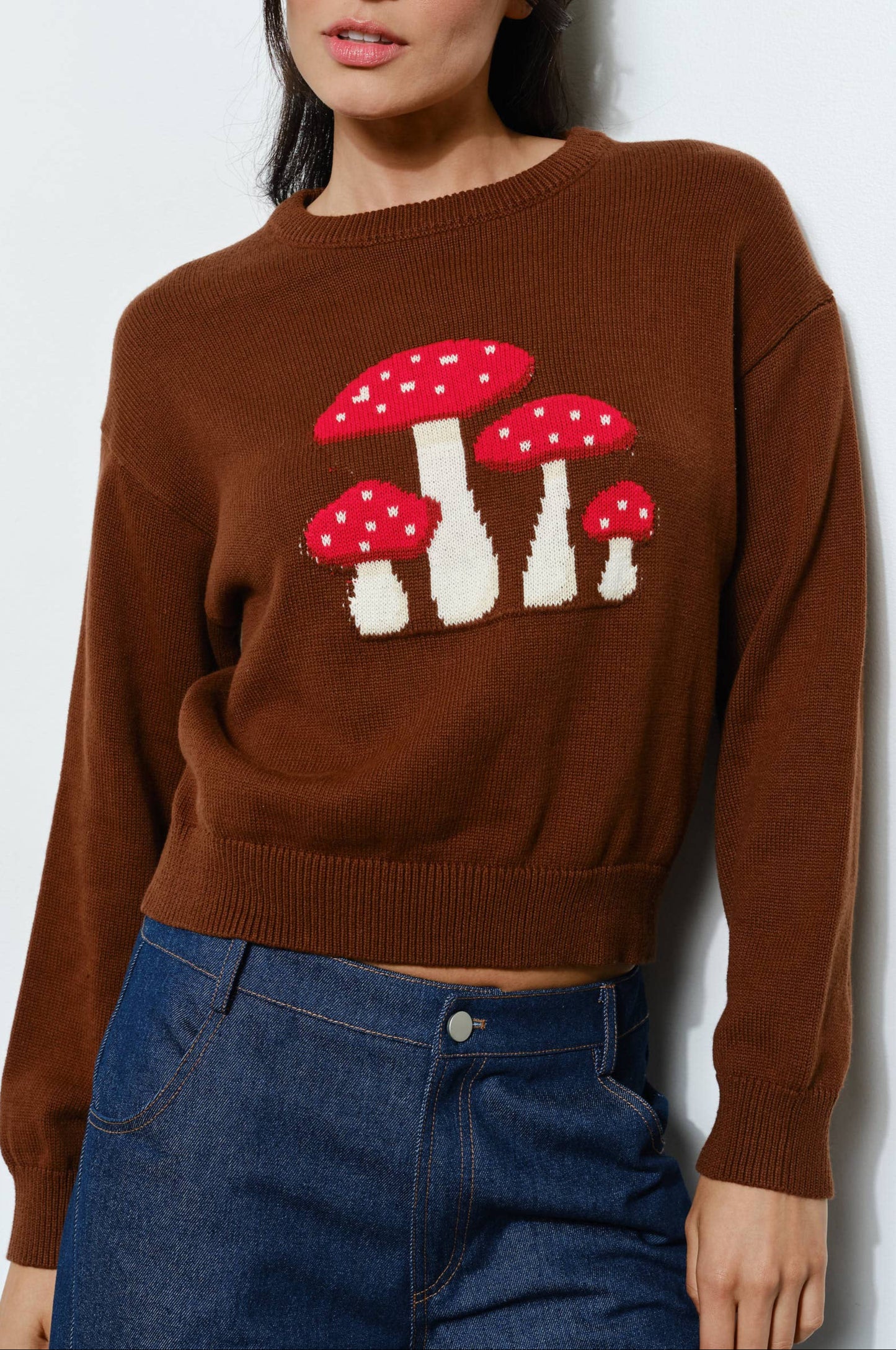 mushroom sweater - brown