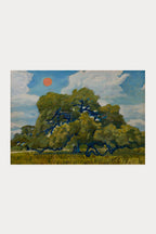 texas hill country live oak & red summer sun print | el baker