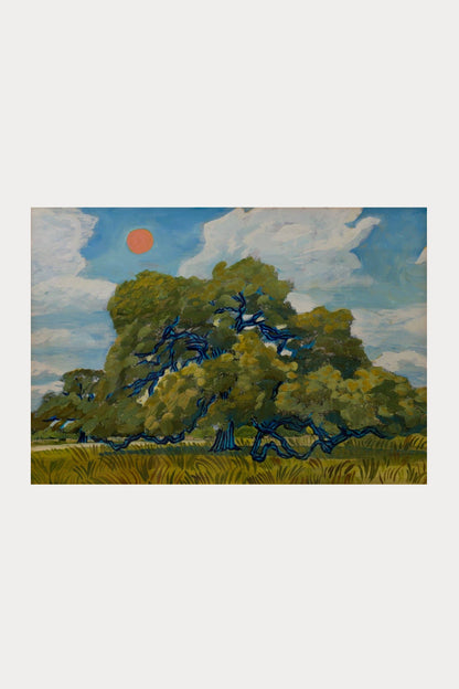 Texas Hill Country Live Oak & Red Summer Sun Print | El Baker