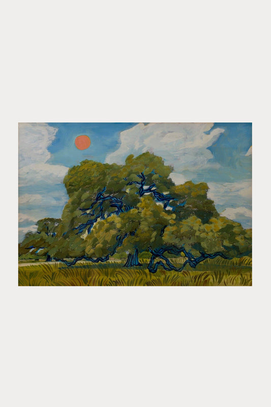 Texas Hill Country Live Oak & Red Summer Sun Print | El Baker