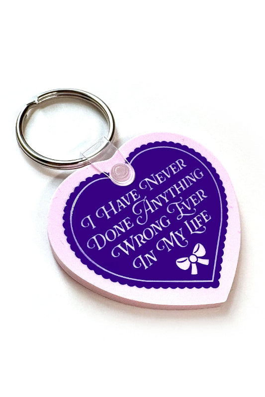 i have never done anything wrong keychain