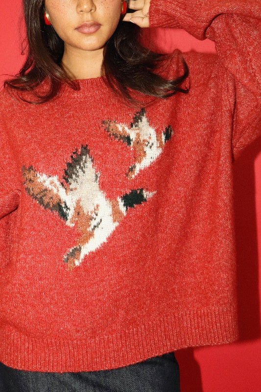 Person wearing a red sweater with bird pattern against a red background