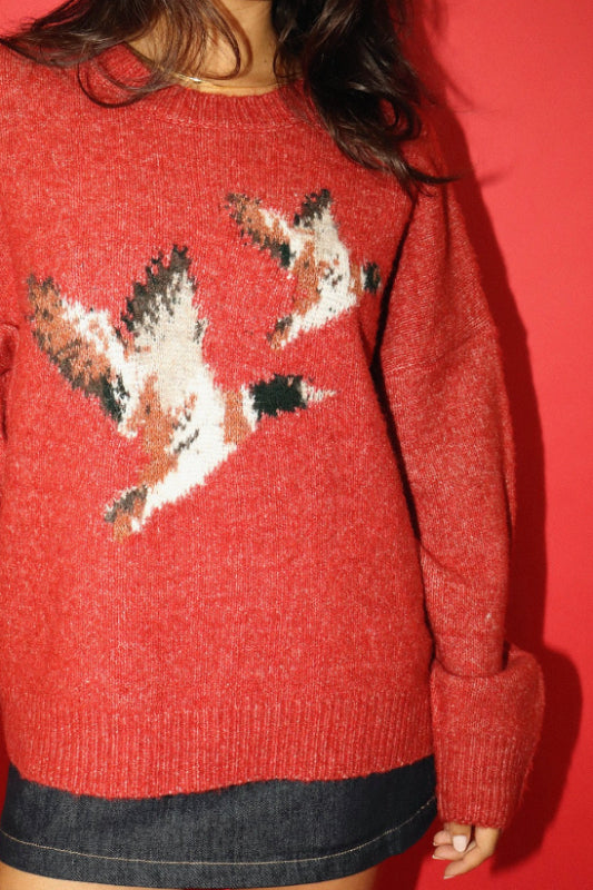Red sweater with bird pattern worn by a person against a red background