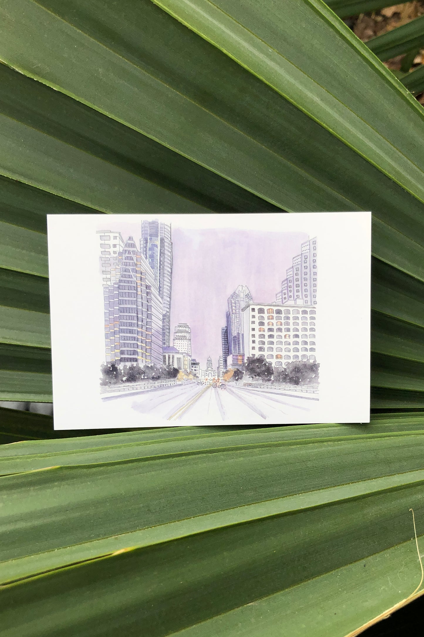 congress ave night postcard