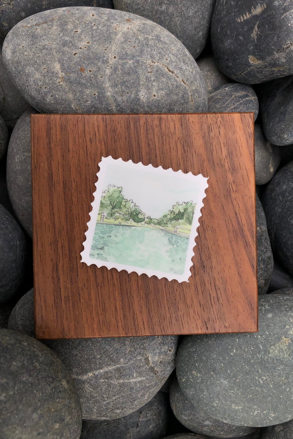 barton springs stamp sticker