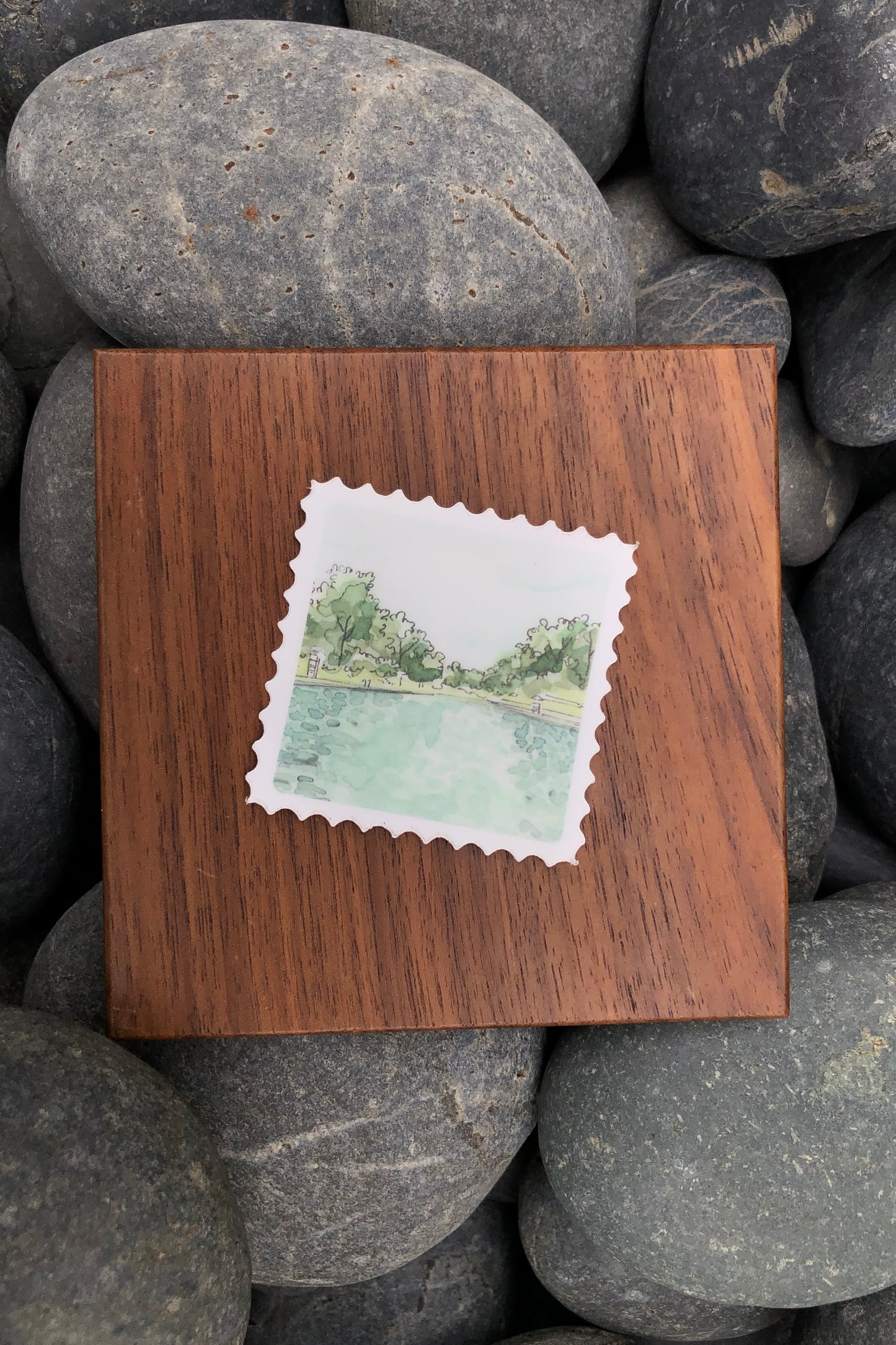 barton springs stamp sticker