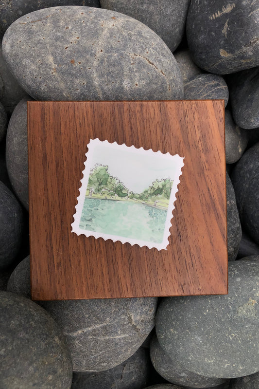 barton springs stamp sticker