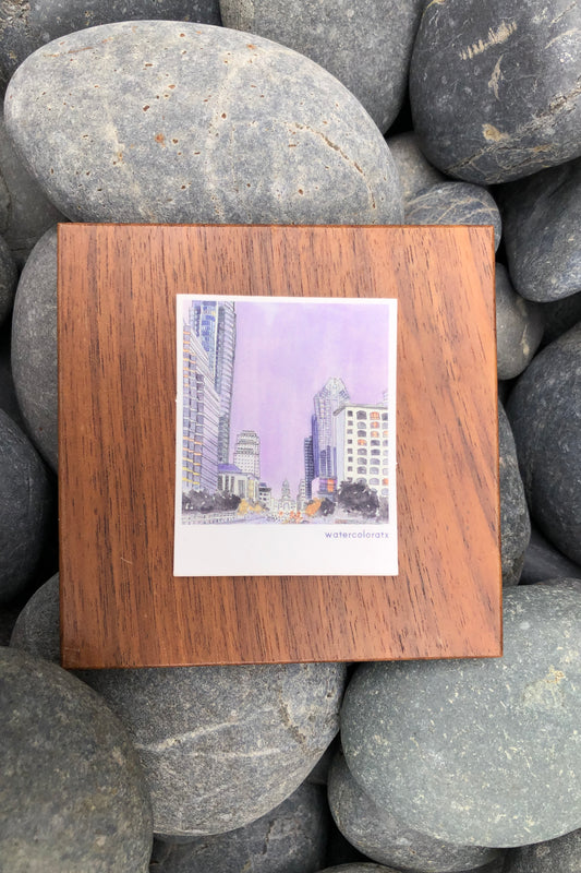 congress ave polaroid sticker