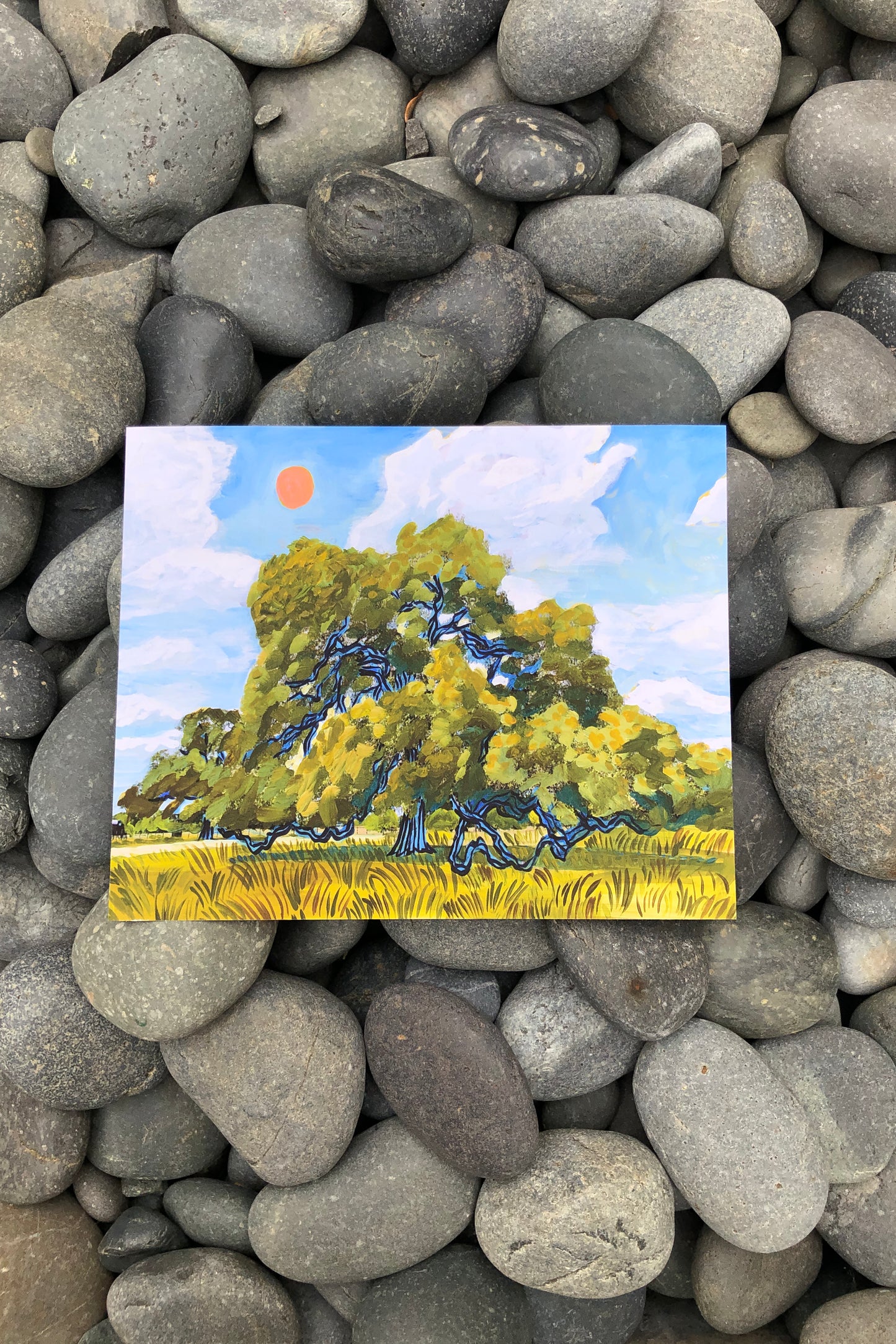 texas hill country live oak & red summer sun print | el baker