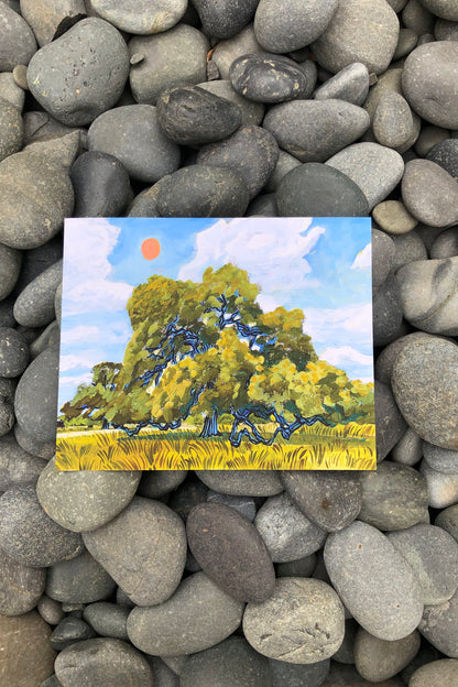 texas hill country live oak & red summer sun print | el baker