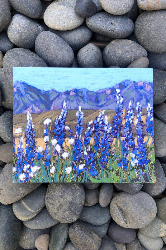 bluebonnets big bend national park print | el baker