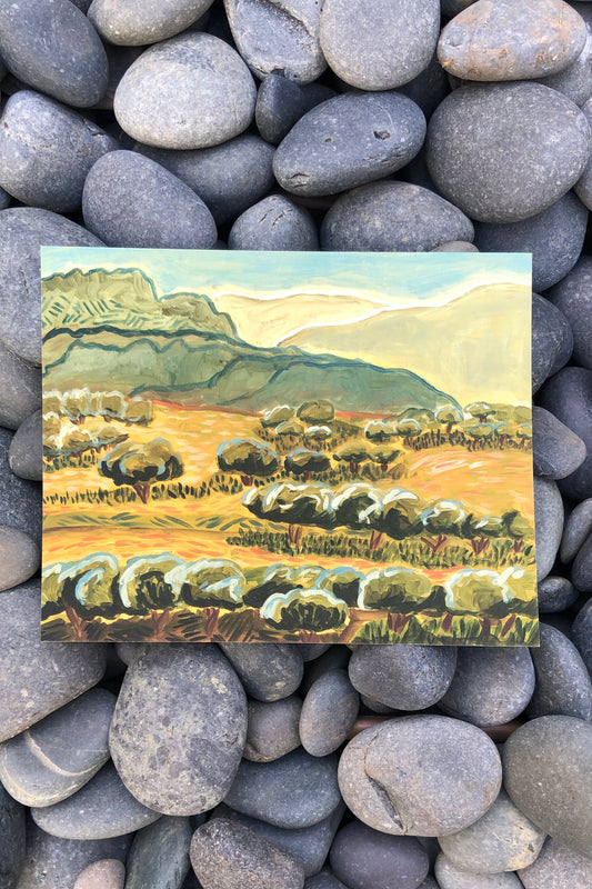 summer hill country ranch print | el baker