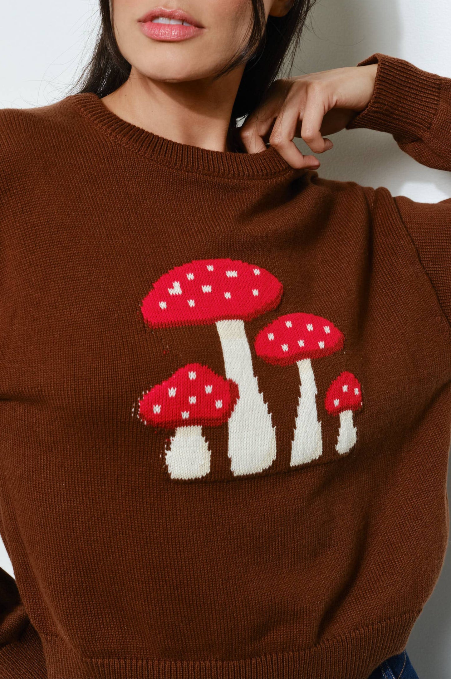 mushroom sweater - brown