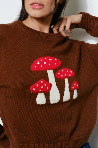 mushroom sweater - brown