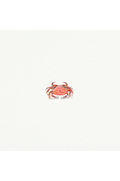 tiny watercolor print - crab