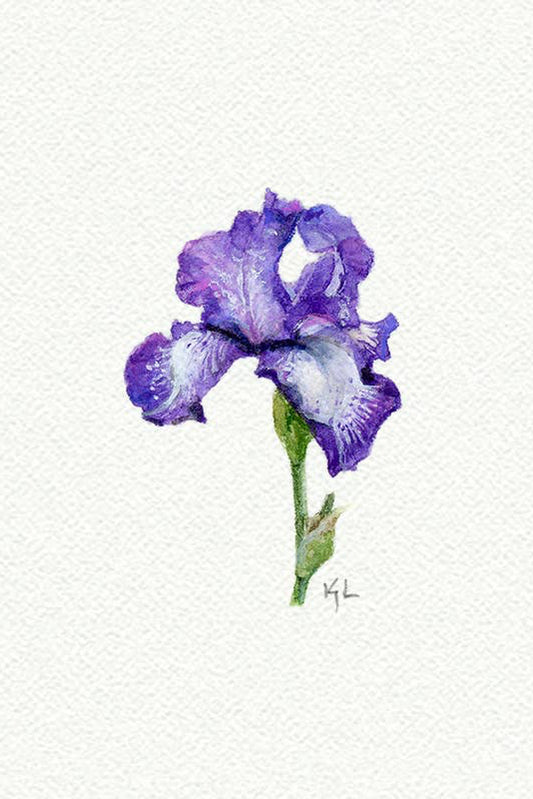 tiny watercolor print - iris