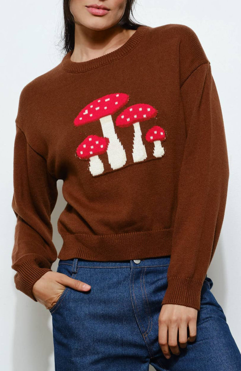 mushroom sweater - brown