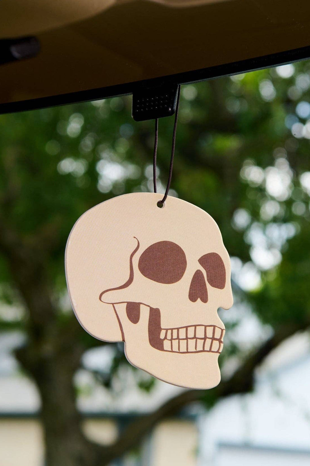 skull air freshener