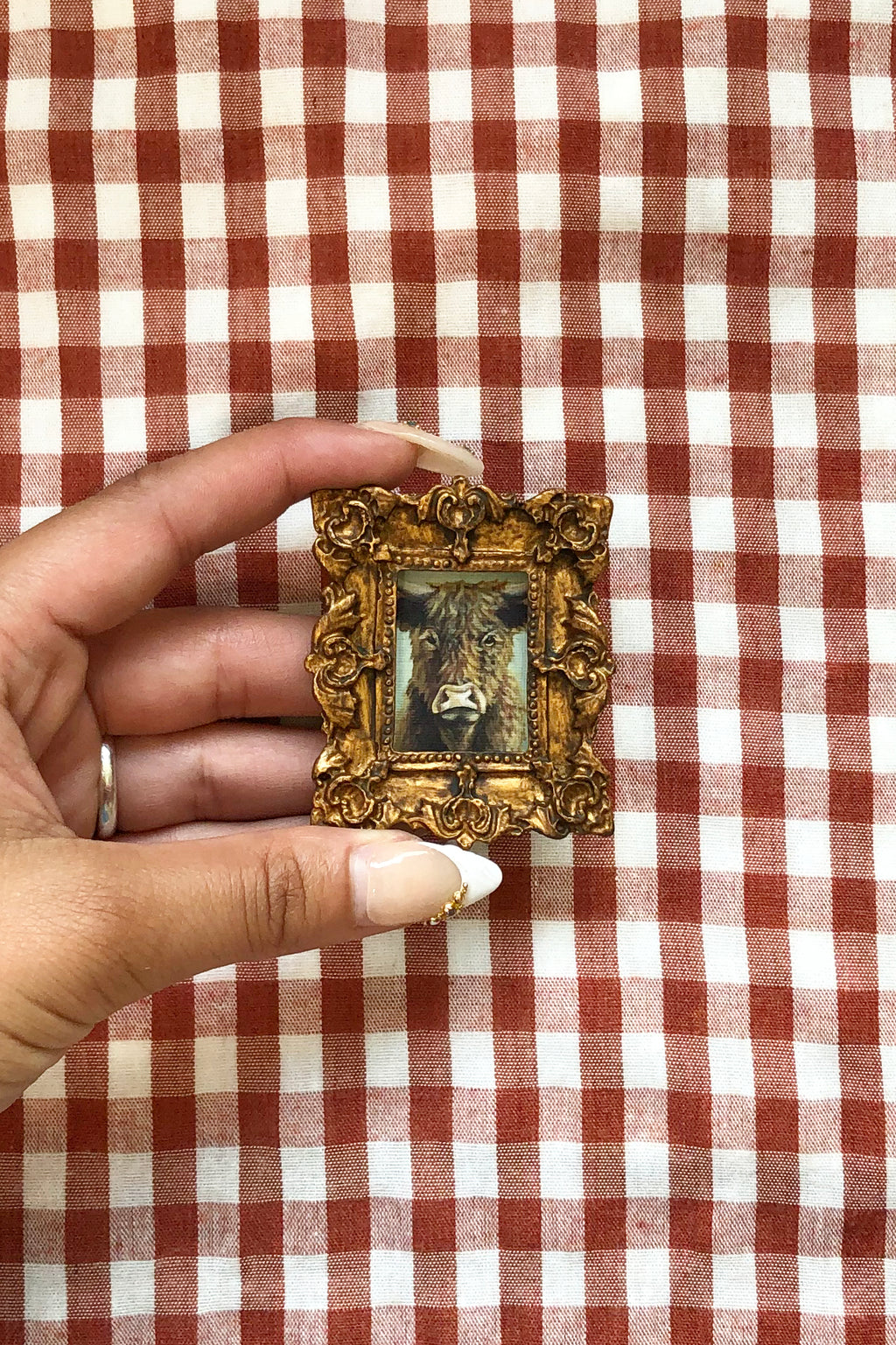 tiny gallery magnet - bocephus bull