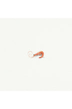 tiny watercolor print - shrimp