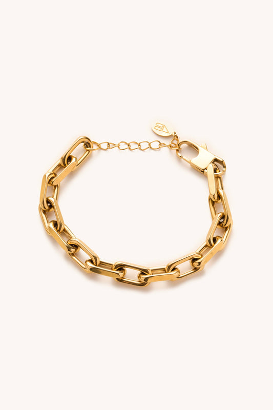 dani chunky link bracelet